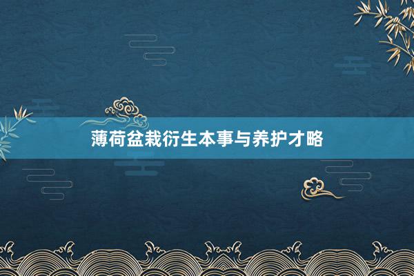 薄荷盆栽衍生本事与养护才略