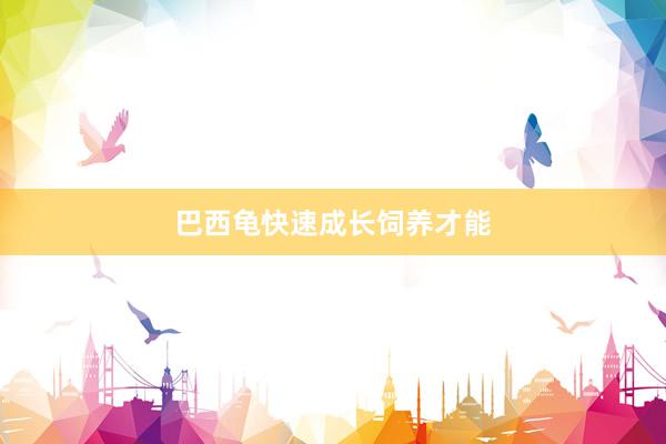 巴西龟快速成长饲养才能