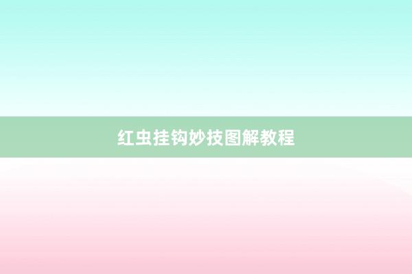 红虫挂钩妙技图解教程